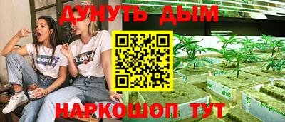стаф Можга