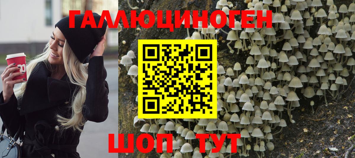 Галлюциногенные грибы Psilocybine cubensis  Вход с VPN  Горячий Ключ  закладки  Псилоцибиновые грибы Psilocybe 