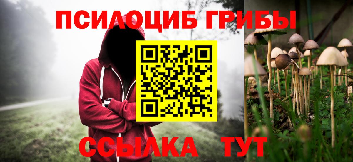 Галлюциногенные грибы MAGIC MUSHROOMS Горячий Ключ